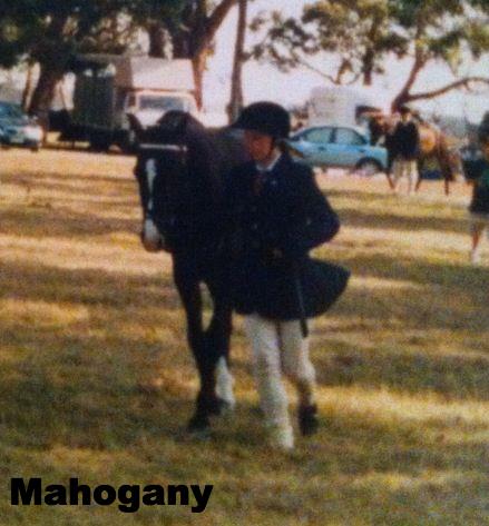 Mahogany.